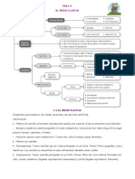 Tema 9 BIOLOGÍA Y GEOLOGÍA 