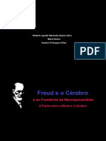 Livro Freud e o Cérebro e As Fronteiras Da Neuropsicanálise. A Ponte e A Mente e o Cérebro.