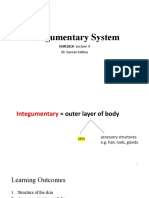 Integumentary System - NUR1019 - 20sept2022