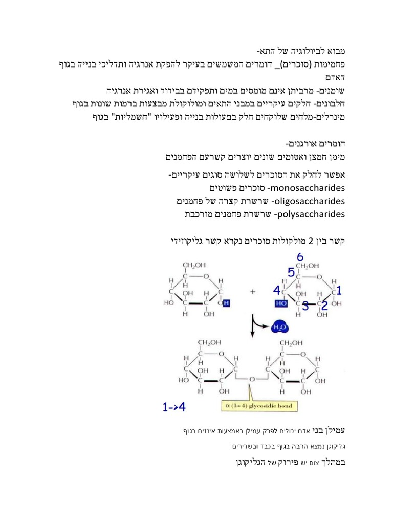 מבוא לביולוגיה של התא-3 | PDF