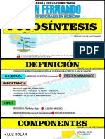 Fotosintesis - San Fernando