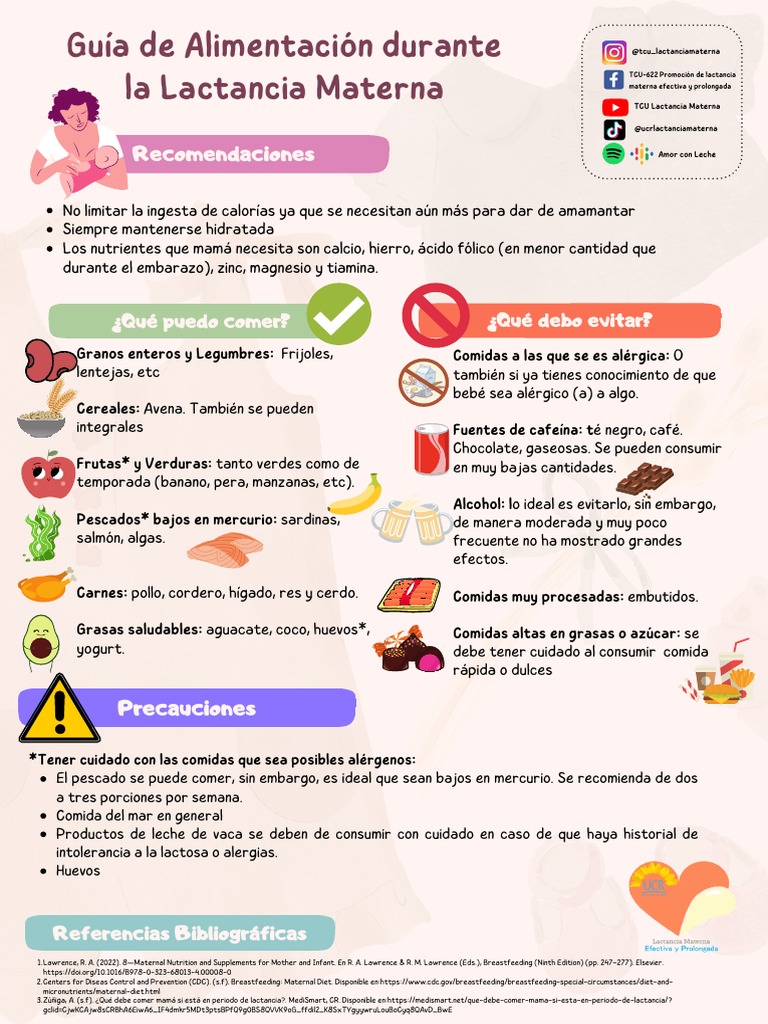 Guía de Alimentación Durante La Lactancia Materna | PDF