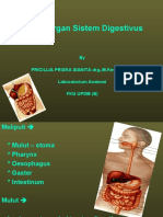 Digestivus