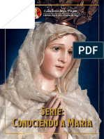 El Poder de La Virgen Maria - Caballeros de La Virgen