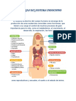 SEMIOLOGIA DEL SISTEMA ENDOCRINO (2)