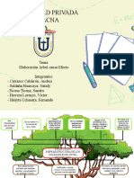 Traabajo de Formulacion Arbol Causa Efecto