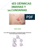 Lesiones Dérmicas - 021720