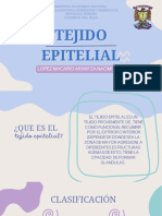 Tejido Epitelial