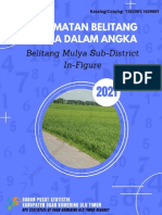 Kecamatan Belitang Mulya Dalam Angka 2021