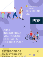 Seguridad Vial