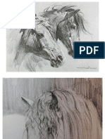 caballos estudios e imágenes