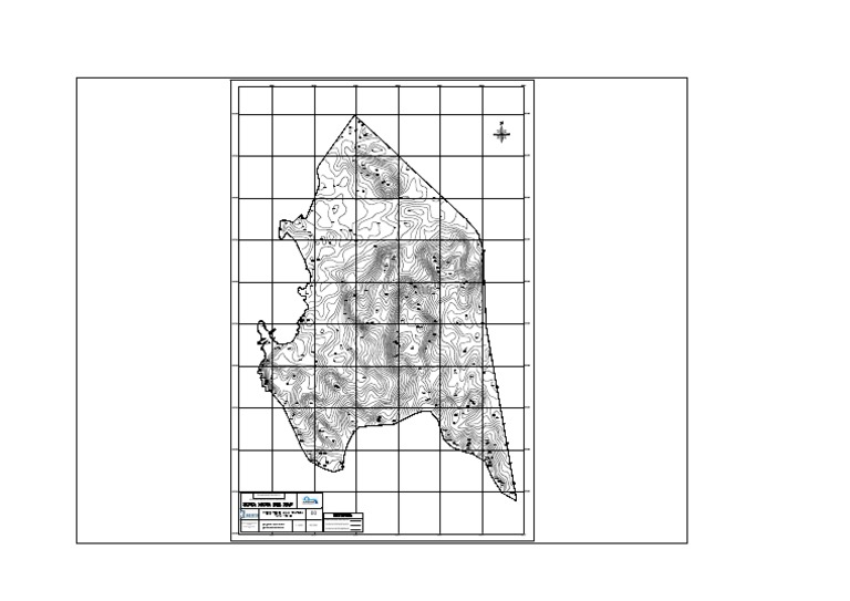 00 PLANO MORFOLOGICO (2)Layout2 PDF