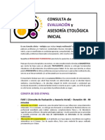 CONCIENCIA - Consulta Evaluación Asesoría Inicial TLM 2021-1