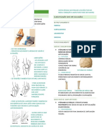 AULA 4 - Arquitetura Articular