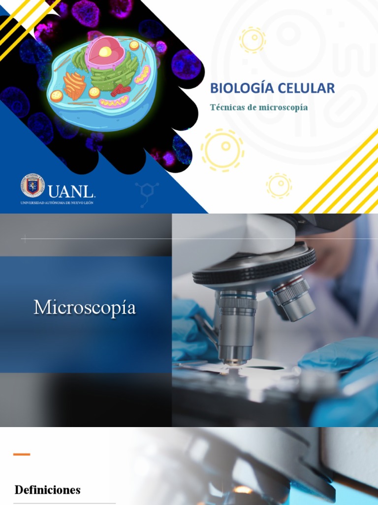 FASE 1. Técnicas de Microscopía | PDF | Microscopio | Óptica