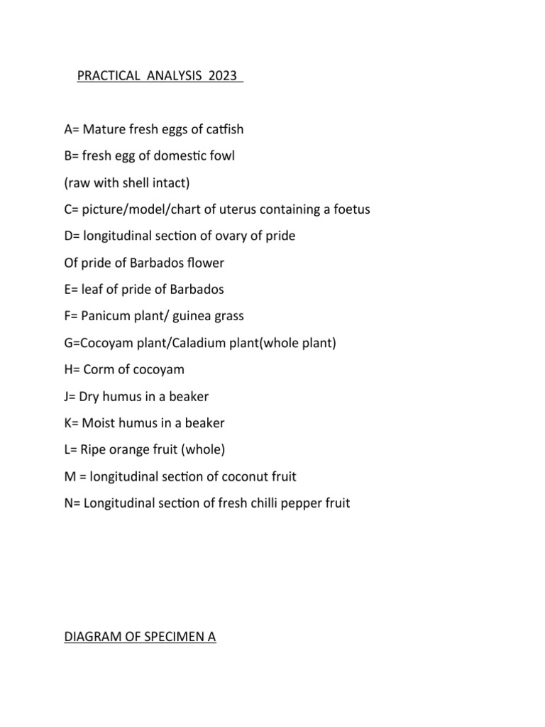 Practical Analysis 2023 | PDF