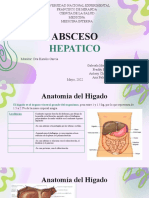 T4. Absceso Hepatico AGAF