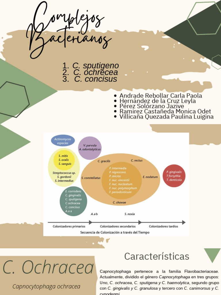 Características de Capnocytophaga spp. | PDF | Diarrea | Ciencias de la ...