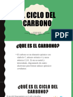 El Ciclo Del Carbono Expo