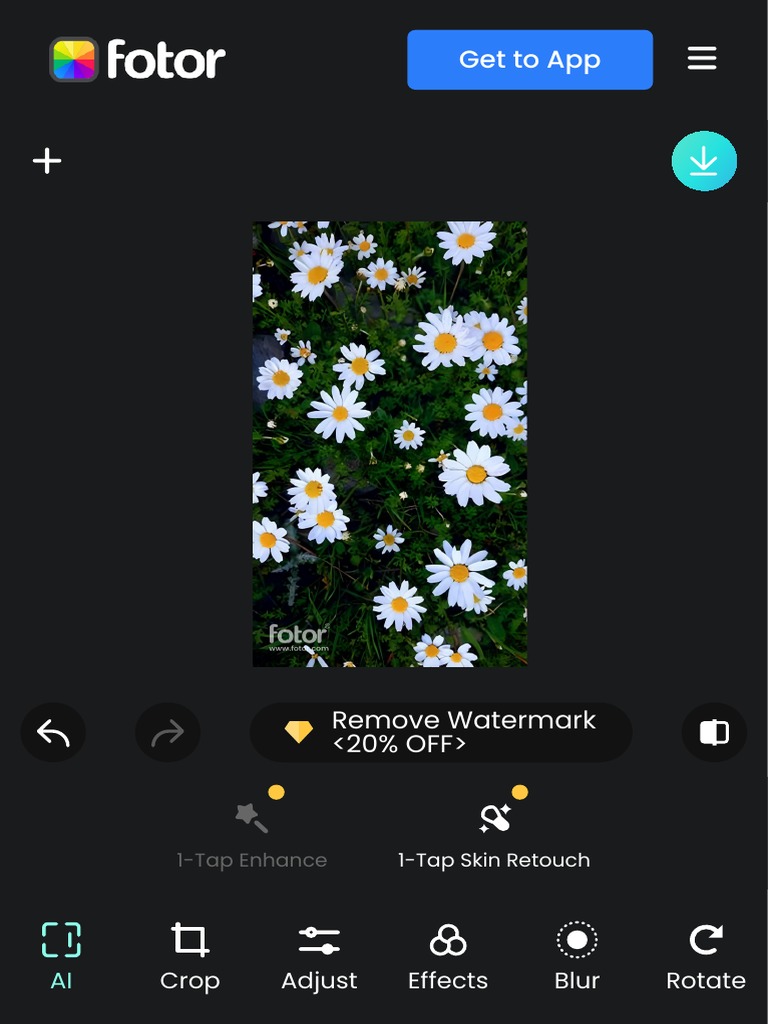 Al Photo Editor - Instant Photo Editing With AI Fotor 2 | PDF | Wellness