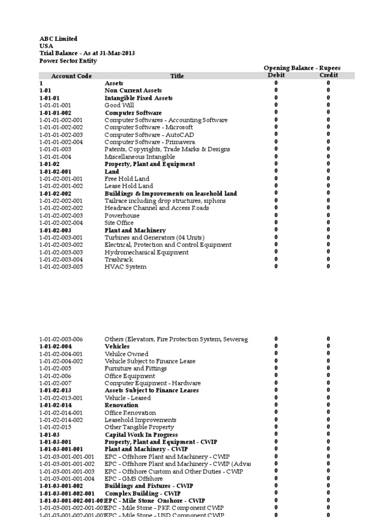 Chart Of Account With Trial Balance 