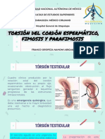 Torsión Del Cordón Espermático, Fimosis y Parafimosis