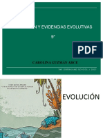9° - Evidencias Evolutivas