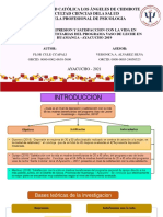 Depresion y Satisfaccion Con La Vida