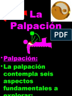 31 Palpacion