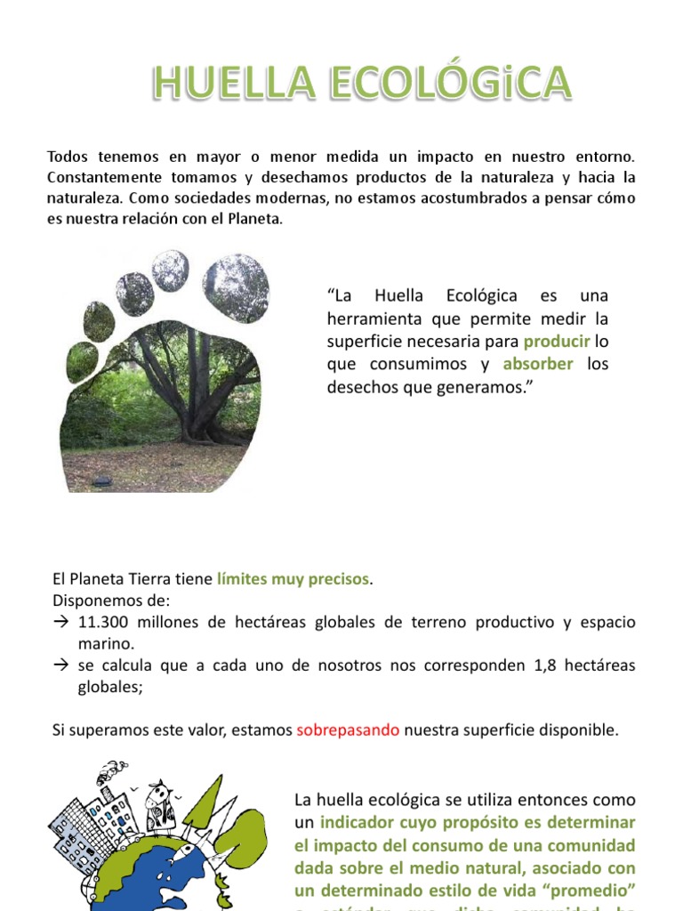 Huella Ecológica: Impacto y Sostenibilidad | PDF | Naturaleza | Entorno ...