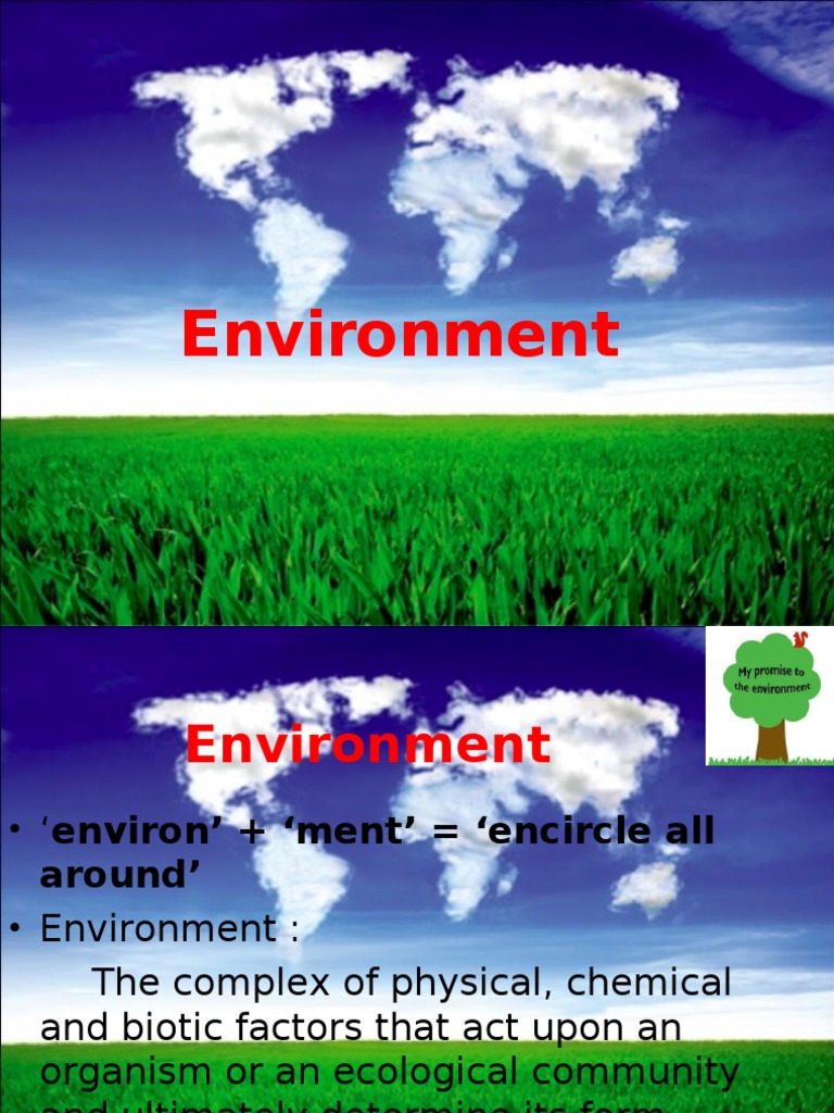 Understanding Environment and Ecology | PDF | Ecosystem | Natural ...