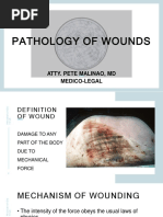 understanding-stab-wounds-types-characteristics-pdf-knife-wound