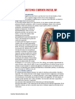 Sistema Cardiovascular