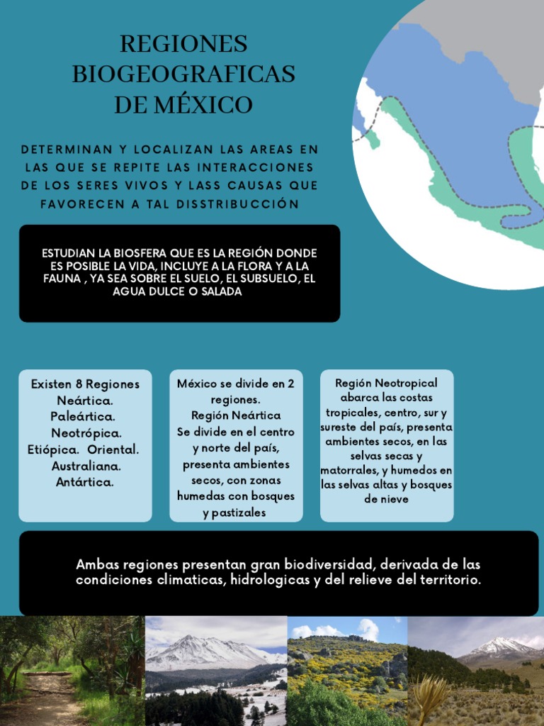 Regiones Biogeograficas de México | PDF