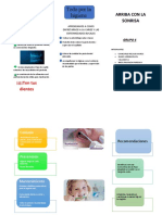 Trabajo Social II - TRIPTICO