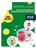 Modul Ajar Makanan Dan Sistem Pencernaan