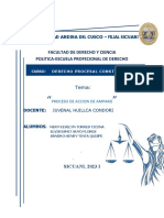 Informe Constitucional