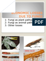 Fungi Economic Losses