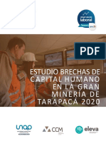 Estudio Brechas de Capital Humano Mineria 2020 - Tarapaca