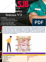 GRUPO 1 - Guion - Semana 3 - ULCERA PEPTICA