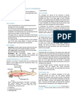 29.1A Characteristics of Chordata