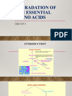 DEGRADATION OF NON ESSENTIAL AMINO ACIDS Group 3