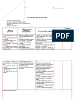 Plan Remedial Cls III Romana