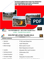 Assesment Kelengkapan Sumur Dan Fasilitas Produksi KSO QEI LTG