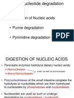 MBMB 1236C Lecture 04 Purines and Pyrimidines Degradation