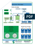 MIcroalgas Bioinsumos SMART FARM IDR-Paraná