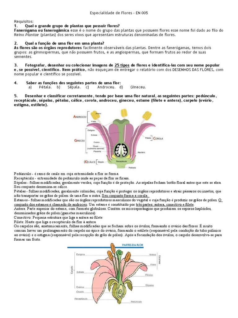 Especialidade em Flores e Polinização | PDF | Flores | Fruta