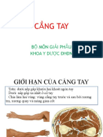 Cẳng tay PDF