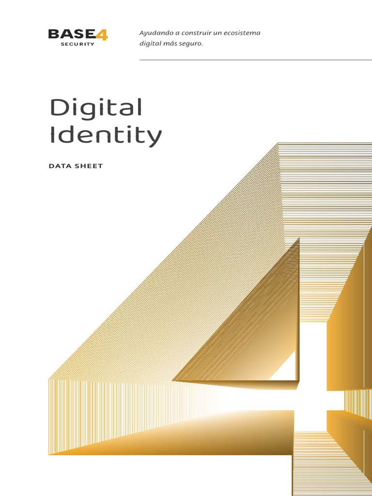 Digital Identity PDF
