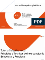 19MNEU Tutoria Colectiva Final PDF